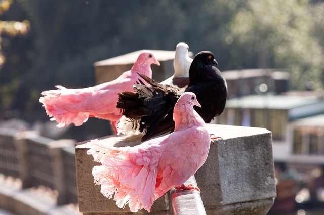 案例展示了 案例展示了