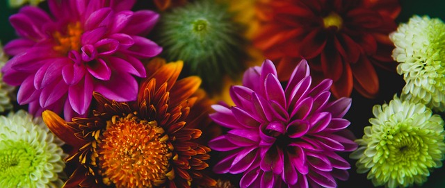 前国家篮球 前国家篮球