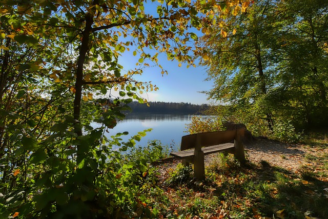 亦或是偏见 亦或是偏见