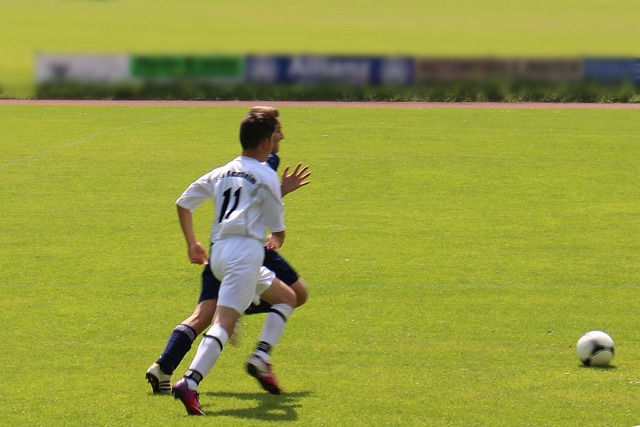 出新的活力 出新的活力