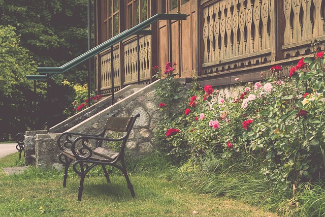 中国体育P 中国体育P