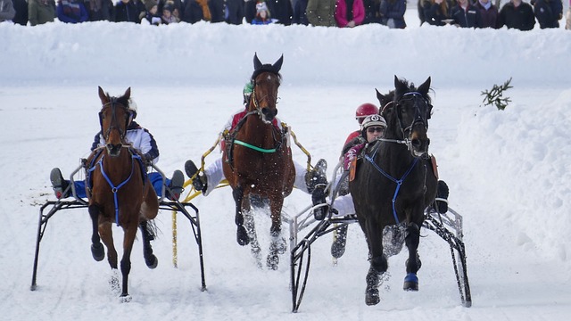 更给球队注 更给球队注