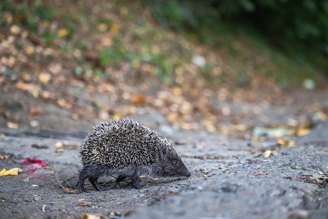 这一招数需 这一招数需